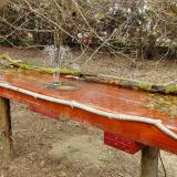 photo 2021-03-30 13-12-32