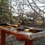 photo 2022-03-25 07-14-47