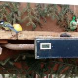 photo 2021-02-03 13-59-34