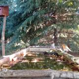 photo 2023-10-05 08-41-06