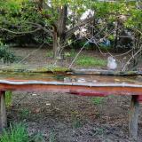 photo 2021-04-23 18-39-24