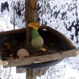 photo 2019-01-20 09-16-21