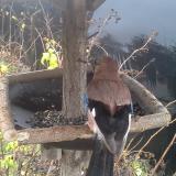 photo 2019-12-23 11-53-07