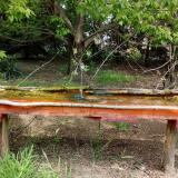 photo 2021-04-29 12-02-50