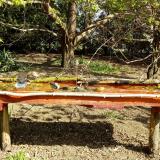 photo 2021-04-12 09-50-01