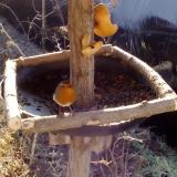 photo 2019-02-06 09-39-53