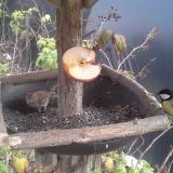 photo 2019-12-05 13-47-06