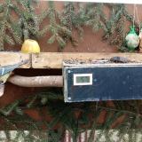 photo 2021-02-01 12-48-14