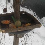 photo 2019-01-23 09-42-09