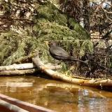 photo 2022-03-19 12-42-54 rigo