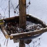 photo 2019-01-09 08-26-18