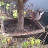 photo 2019-12-12 12-00-16