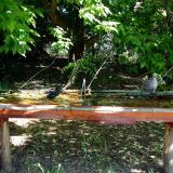 photo 2021-05-21 09-12-01