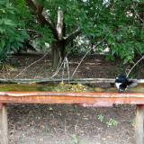 photo 2021-08-23 15-08-37