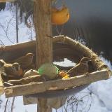 photo 2019-01-27 09-19-22