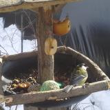 photo 2019-01-29 12-21-40