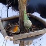 photo 2019-01-11 13-23-03