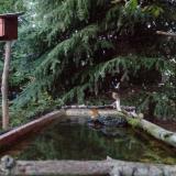 photo 2023-10-10 18-07-22