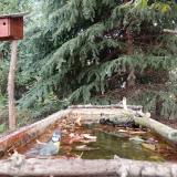 photo 2023-10-09 12-17-59