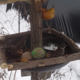 photo 2019-01-27 11-44-13