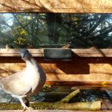 photo 2023-10-28 10-23-14