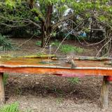 photo 2021-04-19 12-49-20