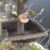 photo 2019-12-04 08-59-06