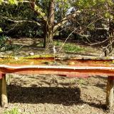 photo 2021-04-12 09-49-20