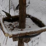 photo 2019-01-08 14-30-14