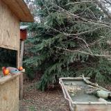 photo 2021-12-22 12-53-35