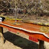 photo 2021-03-31 13-52-17