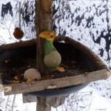 photo 2019-01-20 09-15-41