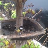 photo 2019-12-02 10-44-54