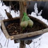 photo 2019-01-09 13-25-48