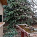 photo 2021-11-19 15-00-09