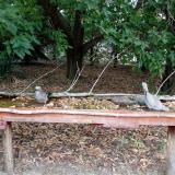 photo 2021-09-20 13-52-27