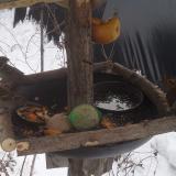 photo 2019-01-27 11-43-53