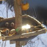 photo 2019-01-27 10-07-14