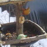 photo 2019-01-29 11-52-41