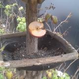 photo 2019-12-05 13-14-04