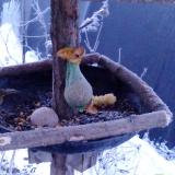 photo 2019-01-21 07-05-23