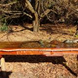 photo 2021-10-27 11-06-33