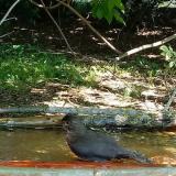 photo 2021-05-08 11-15-02 rigo