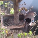 photo 2019-12-12 11-23-37