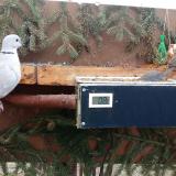 photo 2021-02-22 08-12-30