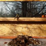 photo 2022-01-19 10-24-37