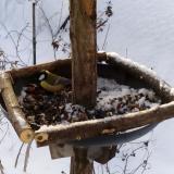 photo 2019-01-09 08-26-52