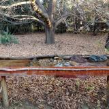 photo 2021-10-26 08-12-22