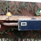 photo 2021-02-07 11-05-31