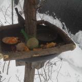 photo 2019-01-23 09-42-23